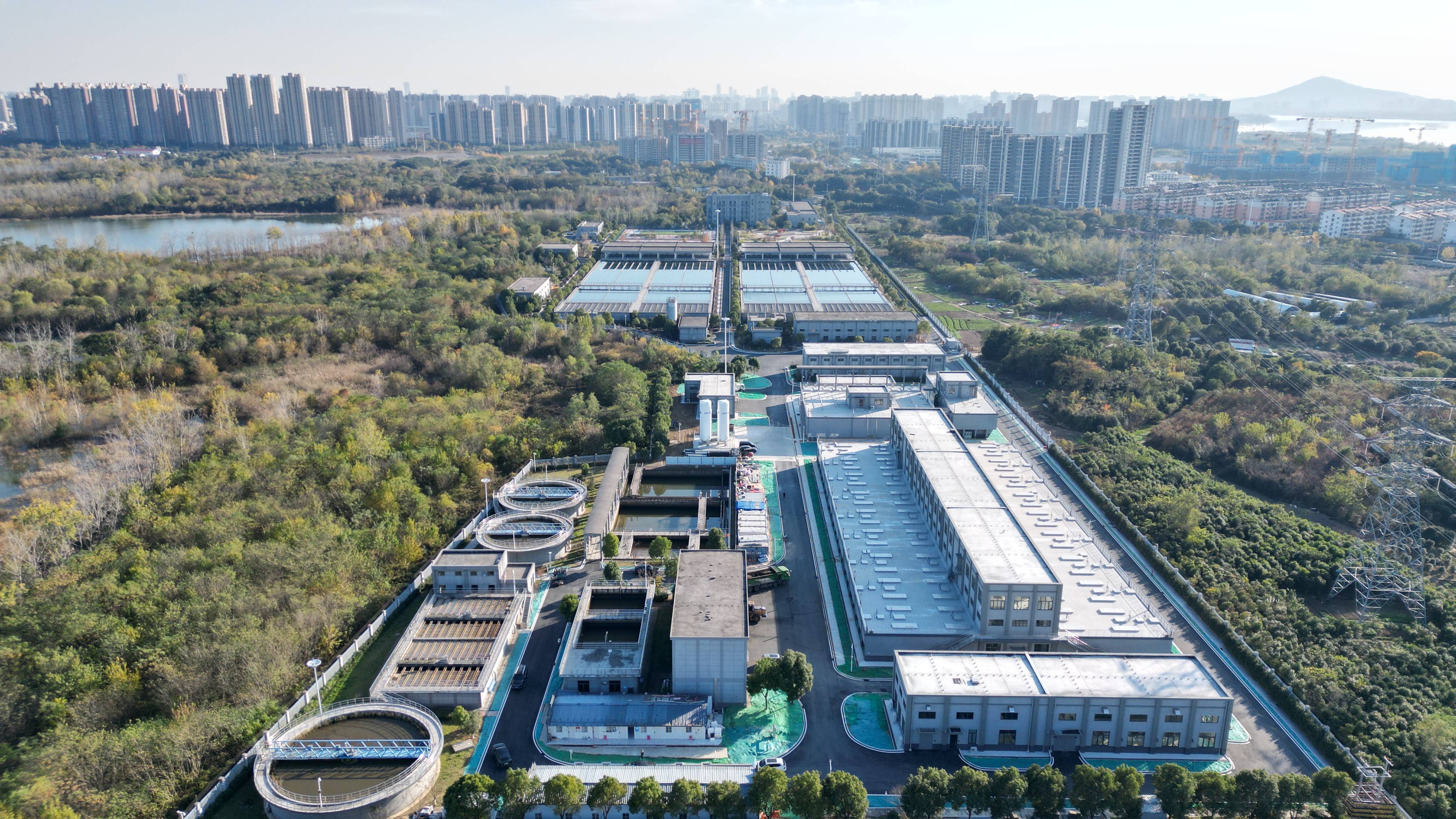 张掖市合肥专业企业价值增长(合肥市重点企业产业目录)