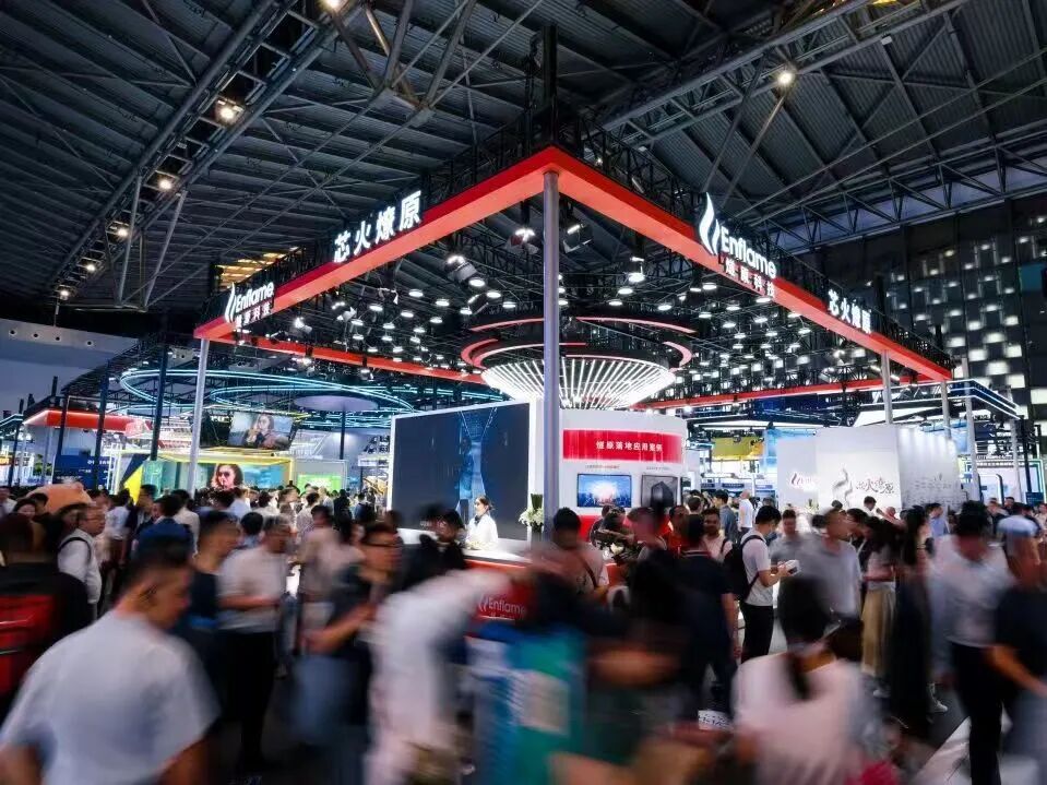 张掖市成熟期IPO辅导(成熟期的上市公司有哪些)