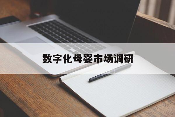 张掖市数字化母婴市场调研(数字化母婴市场调研报告)
